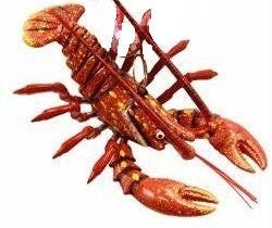 Crawfish/lobster Articulating  Christmas Mardi Gras Boil Holiday Tree ornament  New Orleans