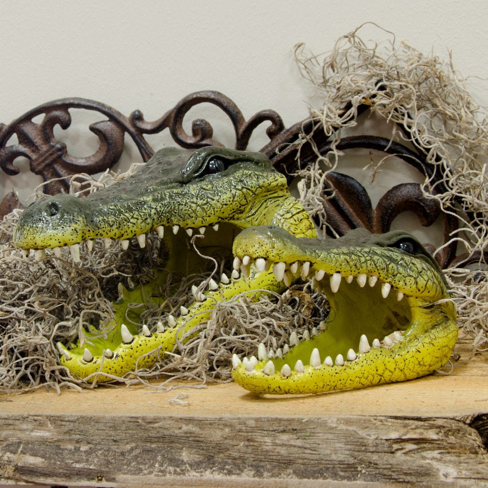 Alligator Head Set with moss  Cajun or Swamp theme Crawfish Seafood boil party Decoration Louisiana Bayou Men's Boy's Christmas gift