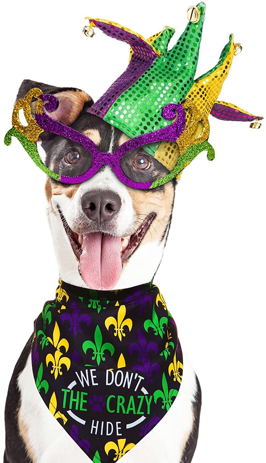 Mardi Gras Fleur De lis PET BANDANA We DON'T Hide Crazy cat pet Bead Hound Dog Parade Costume  Fat Tuesday