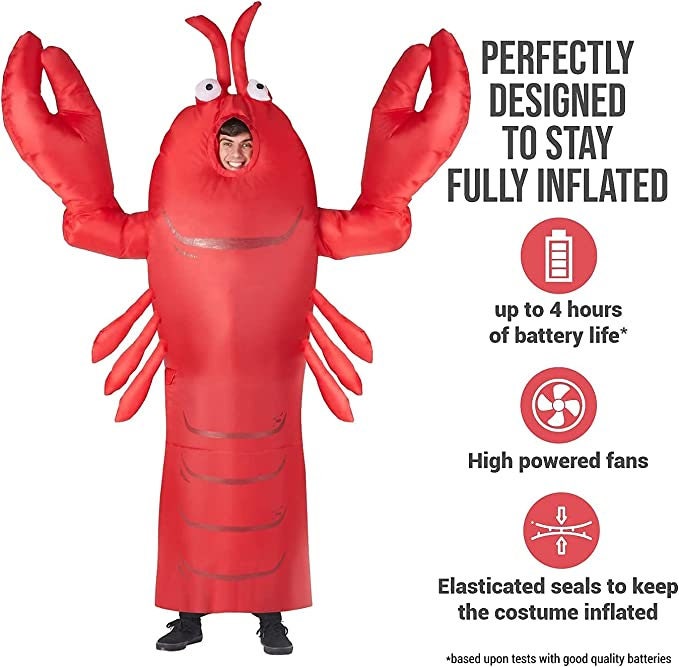 Mardi Gras Crawfish Inflatable costume Parade wear Seafood boil Restaurant adversting